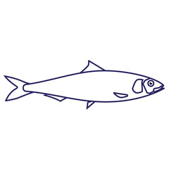 sardine fish editable stroke vectro illustration