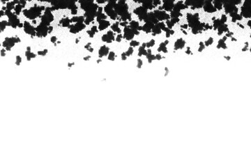 Black ink splatter edge border on transparent background, grunge artistic paint splash texture for overlay effects, abstract decorative design for digital artwork and creative compositions
