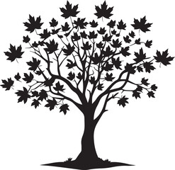 Maple tree with black leaves silhouette tree 