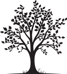 Maple tree with black leaves silhouette tree 