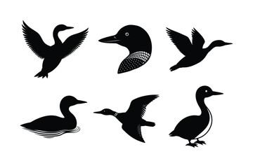 Fototapeta premium Loon silhouette vector illustration, Set of Loon silhouette
