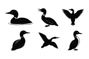 Obraz premium Loon silhouette vector illustration, Set of Loon silhouette
