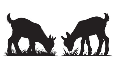 Black isolated animal silhouette vector illustration of a baby goat mammal, 
