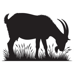 a silhouette goat eat grass and white background