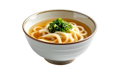 Udon - Japanese food