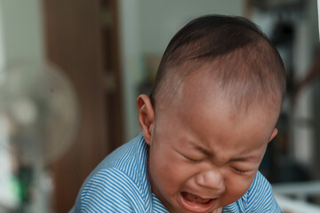 At home, a baby plays with their parents and aunt, sharing moments of laughter and occasional tears. The lively atmosphere reflects the warmth, joy, and emotional ups and downs of family life.
