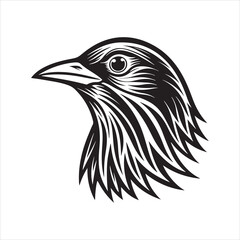 Obraz premium European starling line art silhouette