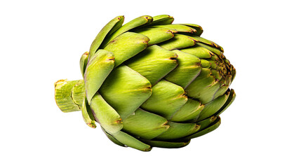 Obraz premium a green artichoke with a white background