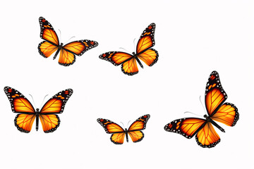 
Vibrant Orange Butterflies Gracefully Flutter on a Pristine White Background, a Symphony of Nature's Beauty in Flight