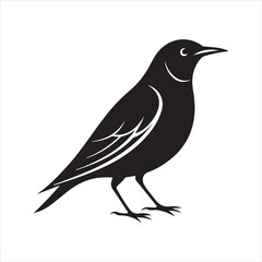 European starling line art silhouette