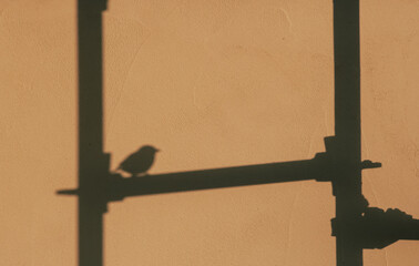 street lamp post