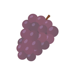 Vector Illustration of Purple Grape Bunch with Stem and Glossy Round Berries Isolated on White Background