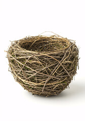 Obraz premium bird nest isolated 