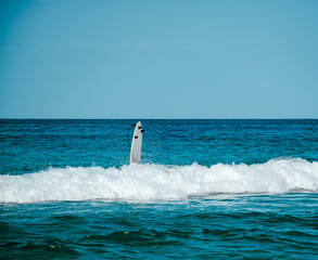 surfing the waves