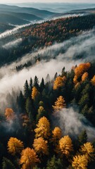 Stunning Autumn Forest Landscape with Colorful Foliage and Morning Fog Illuminated by Sunlight