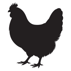 Vector illustration of a black and white chicken and hen silhouette on farm background