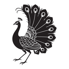 Peacock with colorful feathers in a cartoon vector style featuring bird and nature elements