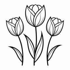 set of black and white tulips