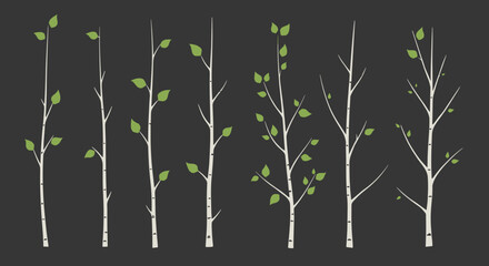 Collection of illustrated birch tree branches with leaves on black  