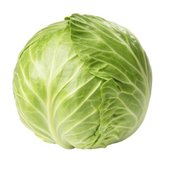 Obraz premium A single green cabbage, round leafy vegetable with crisp texture, isolated on transparent background