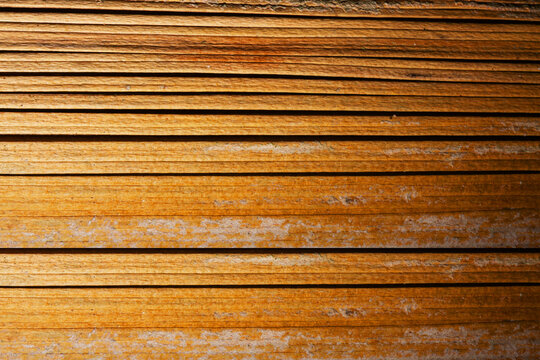 Palha de coqueiro &aacute;rvore nativa de florestas tropicais. 