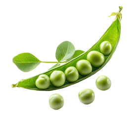 Fresh green peas emerging from open pod with leaves on transparent background