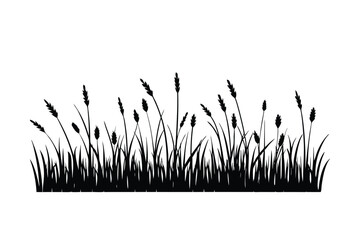 Horizon line with meadow grasses drawn in fine soft strokes vector art illustration