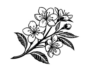 Elegant Black and White Floral Branch Illustration