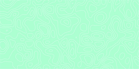 Fototapeta premium Continuous elevation contour design in artistic format
