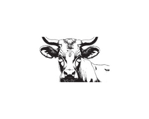 A highly detailed black and white vector illustration presents a striking portrait of a cow head.