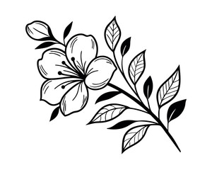 Elegant Black and White Floral Branch Illustration