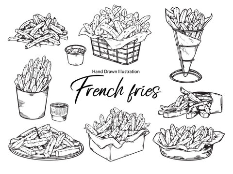 Set of Hand Drawn Crispy French Fries Outline Drawing Illustration
