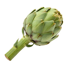 Artichoke isolated on transparent background png