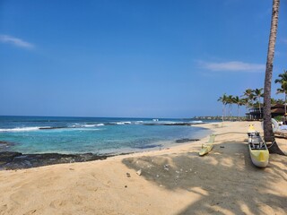 a serene tropical landscape, ocean view, palm trees, lush greenery and distant mountains frame the scene, adding depth and contrast. The shoreline is lined with volcanic black rock