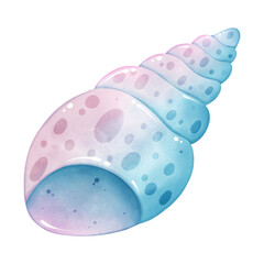 Pastel Seashell Illustration for Coastal Decoration