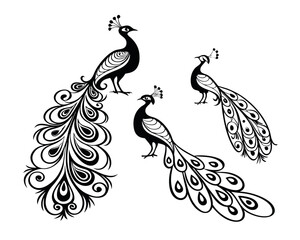 Fototapeta premium Three Elegant Stylized Peacocks in Black and White