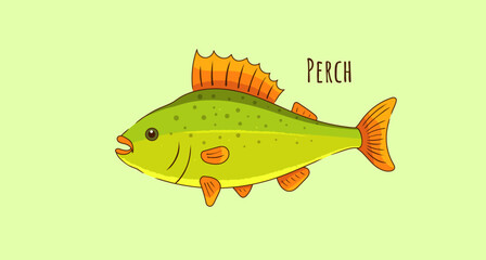 Hand Drawn Perch Fish Vector Illustration. Colorful Aquatic Life