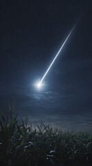 Bright Meteor Shower Over a Dark Cornfield at Night