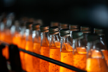 A row of water bottles moves along a conveyor belt on a beverage production line inside a factory. The automated bottling process in a clean, modern manufacturing environment.