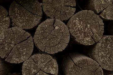 Selbstklebende Fototapeten A detailed view of circular cut logs arranged closely, showcasing wood grain and textures for use in design or naturerelated projects © Alena