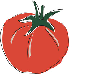 Vibrant Hand-Drawn Tomato Illustration