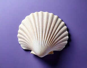 White seashell on soft lavender background minimal 