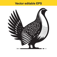 Black and white vector illustration of a graceful pheasant with detailed feathers