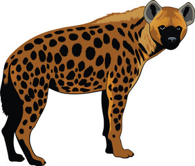 Spotted Hyena Illustration Detailed Vector Drawing of African Wildlife Animal