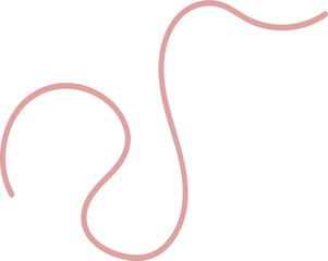 Intestinal Parasitic Worm