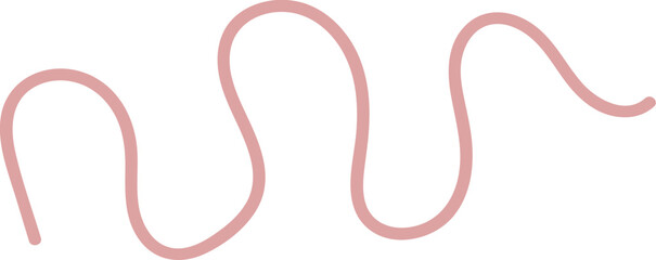 Intestinal Parasitic Worm