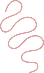 Intestinal Parasitic Worm