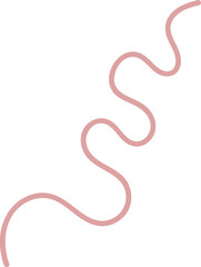 Intestinal Parasitic Worm
