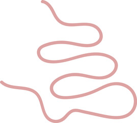 Intestinal Parasitic Worm