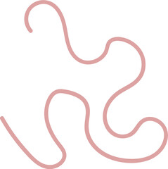 Intestinal Parasitic Worm